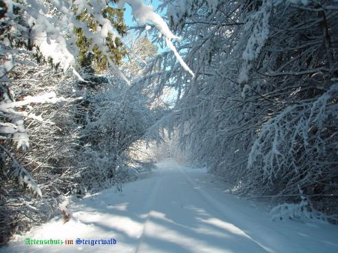 Copyright AiS / 2009 Bild zum Eintrag (22409-160)