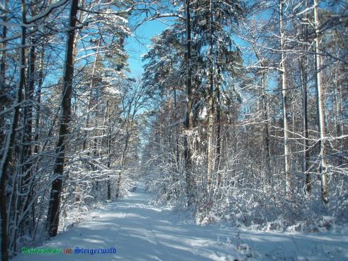 Copyright AiS / 2009 Bild zum Eintrag (22412-160)