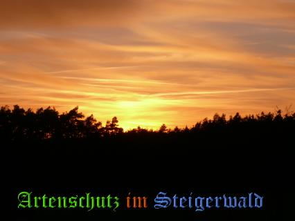 Copyright AiS / Bauer J. Bild zum Eintrag (22478-160)