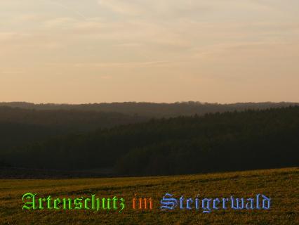 Copyright AiS / Schrei Bild zum Eintrag (22479-160)