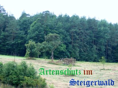 Bild zum Eintrag (22484-160)