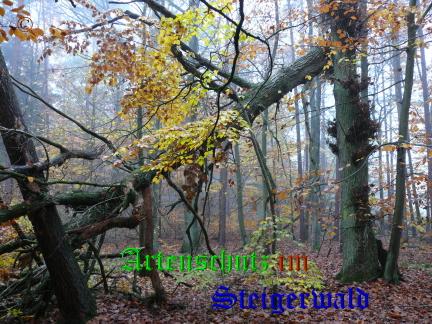 Copyright AiS / 2008 Bild zum Eintrag (22491-160)