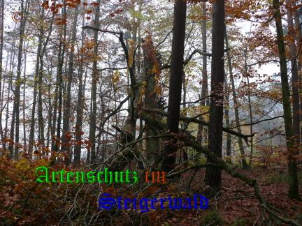Copyright AiS / 2008 Bild zum Eintrag (22493-160)