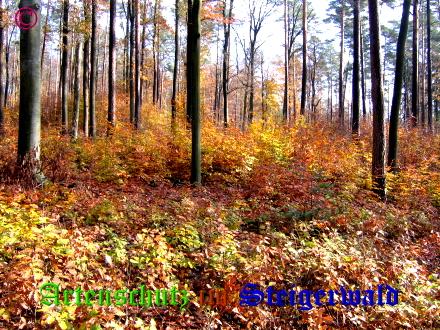 Copyright AiS / 2008 Bild zum Eintrag (22511-160)