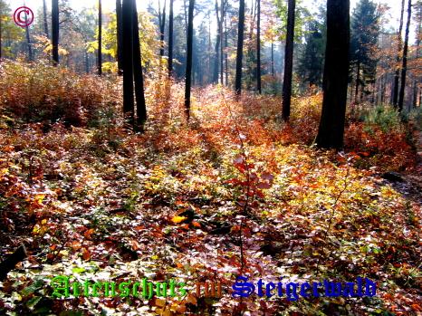 Copyright AiS / 2008 Bild zum Eintrag (22513-160)