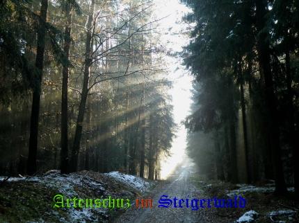 Copyright AiS / 2008 - Albert Meier Bild zum Eintrag (23800-160)