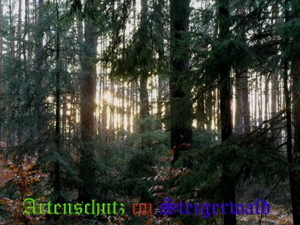 Bild zum Eintrag (23814-160)