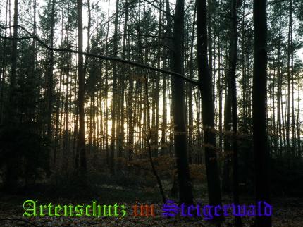 Bild zum Eintrag (23815-160)