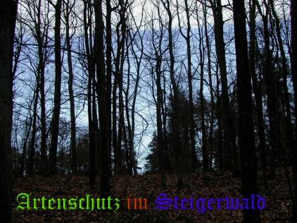 Copyright AiS / 2008 - Albert Meier Bild zum Eintrag (23822-160)