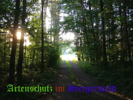 Copyright AiS / 2008 - Albert Meier Bild zum Eintrag (23828-160)