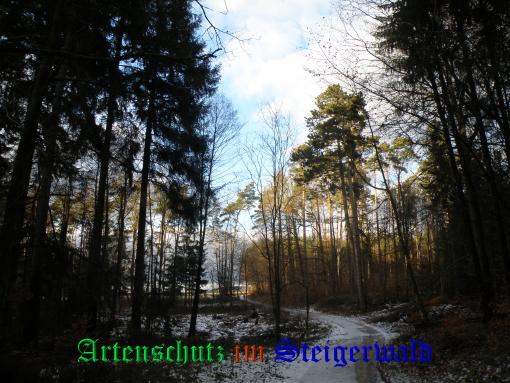 Copyright AiS / 2008 - Albert Meier Bild zum Eintrag (23836-160)