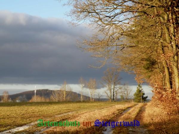 Copyright AiS / 2008 - Albert Meier Bild zum Eintrag (23837-160)