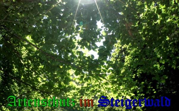 Bild zum Eintrag (23839-160)