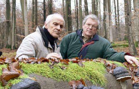 Copyright AiS / Michael Wehner Bild zum Eintrag (27454-160)