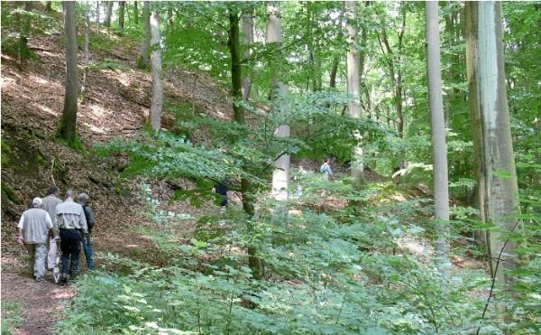 Copyright AiS / Michael Wehner Bild zum Eintrag (27476-160)