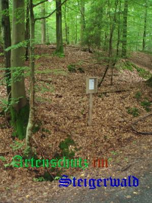 Copyright AiS / MHKD Bild zum Eintrag (27480-160)