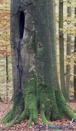 Copyright AiS / Fränkischer Tag Dienstag 10.März 2009, Autor Günter Flegel Bild zum Eintrag (27486-160)