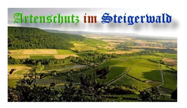 Copyright AiS / 2009 Int ais. Bild zum Eintrag (27763-160)