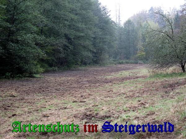 Copyright AiS / 2009 Pfleiderer Bild zum Eintrag (31676-160)