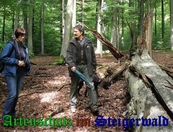 Copyright AiS- Albert Meier Bild zum Eintrag (31699-160)