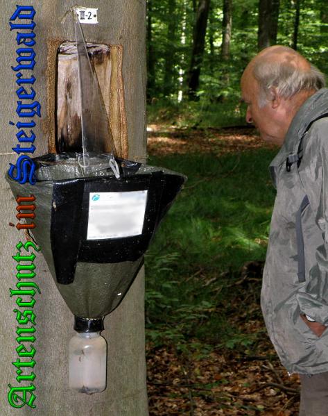 Copyright AiS- Albert Meier Bild zum Eintrag (31702-160)