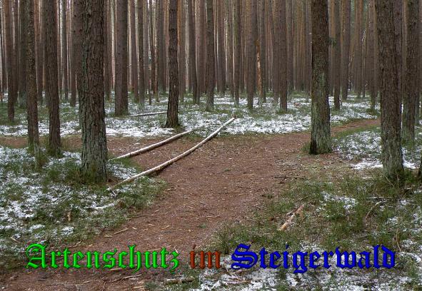 Copyright AiS -Albert Meier Bild zum Eintrag (34838-160)
