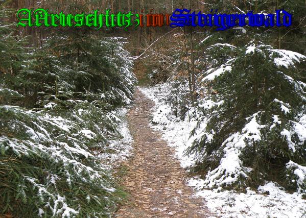 Copyright AiS -Albert Meier Bild zum Eintrag (34839-160)