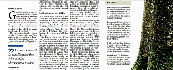 Copyright AiS - Fränkischer Tag / Autor und Aufnahmen Pauline Lindner Bild zum Eintrag (38801-160)