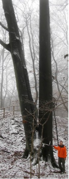 Copyright AiS - Konrad Götz Bild zum Eintrag (52375-160)