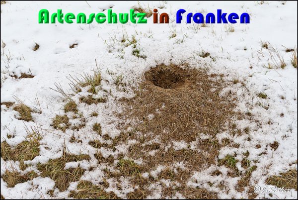 Copyright AiS Johannes Rother Bild zum Eintrag (54350-160)