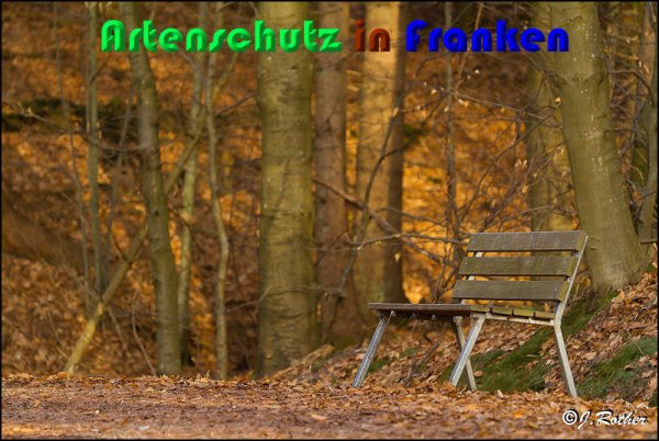 Copyright AiS Johannes Rother Bild zum Eintrag (54374-160)