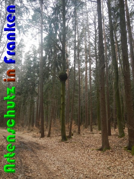 Copyright AiS Zanker Bild zum Eintrag (56199-160)