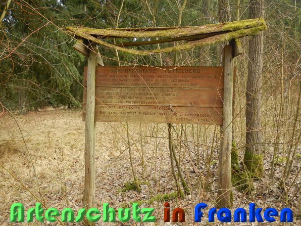 Copyright AiS Schaller Bild zum Eintrag (56442-160)