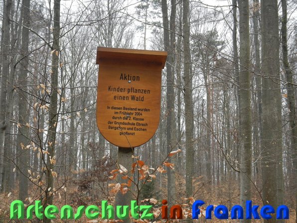 Copyright AiS Schaller Bild zum Eintrag (56452-160)