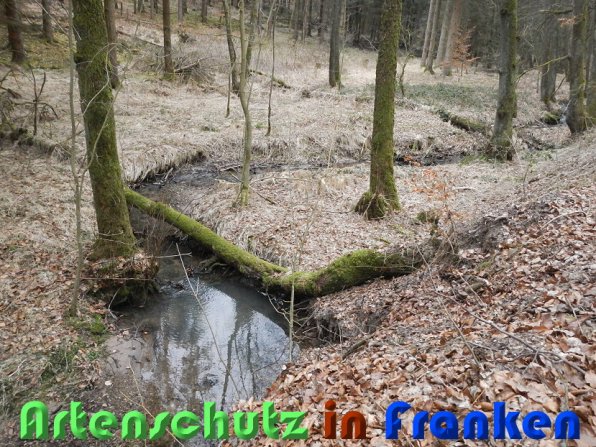 Bild zum Eintrag (56454-160)