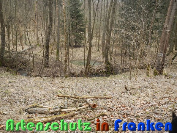 Bild zum Eintrag (56456-160)