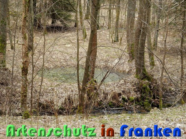 Bild zum Eintrag (56457-160)