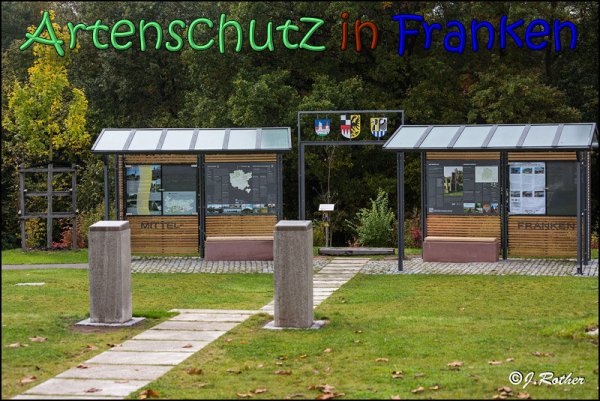 Copyright AiS Johannes Rother Bild zum Eintrag (62082-160)