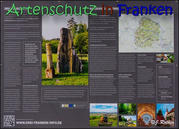 Copyright AiS Johannes Rother Bild zum Eintrag (62084-160)