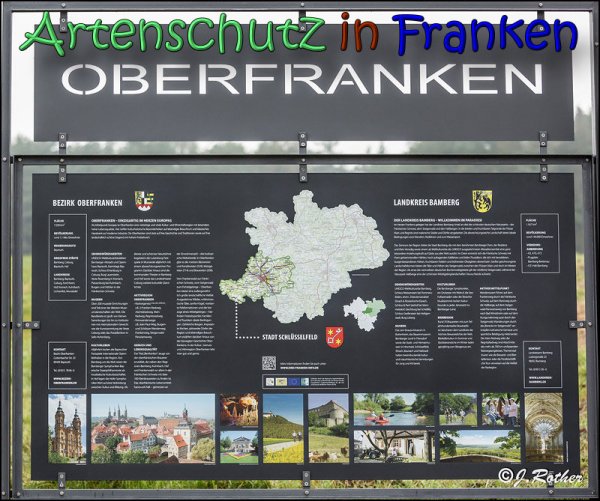 Copyright AiS Johannes Rother Bild zum Eintrag (62085-160)