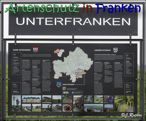 Copyright AiS Johannes Rother Bild zum Eintrag (62086-160)