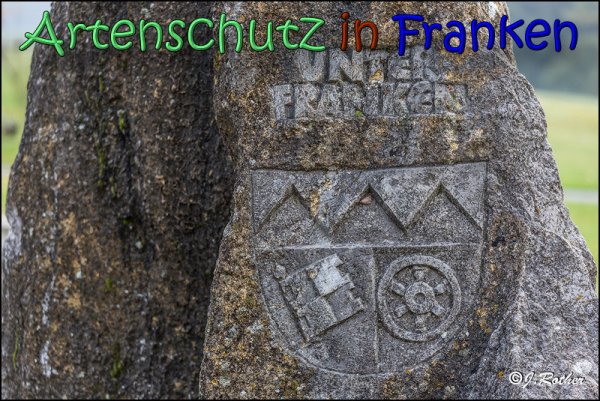 Copyright AiS Johannes Rother Bild zum Eintrag (62087-160)
