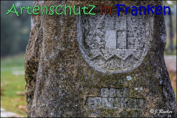 Copyright AiS Johannes Rother Bild zum Eintrag (62088-160)