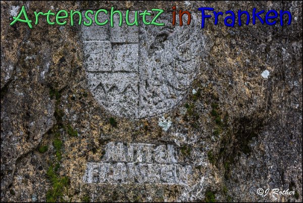 Copyright AiS Johannes Rother Bild zum Eintrag (62089-160)