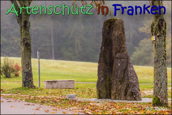 Copyright AiS Johannes Rother Bild zum Eintrag (62091-160)