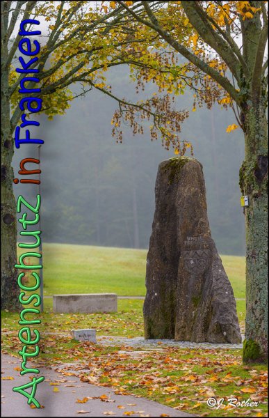 Copyright AiS Johannes Rother Bild zum Eintrag (62092-160)