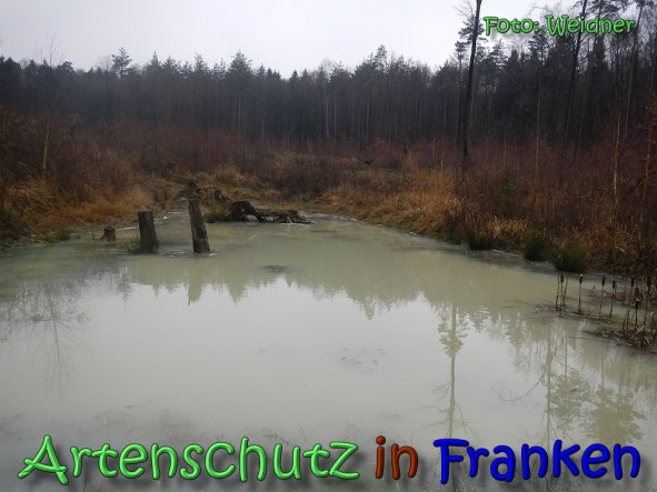 Copyright AiS Klaus Weidner Bild zum Eintrag (63115-160)
