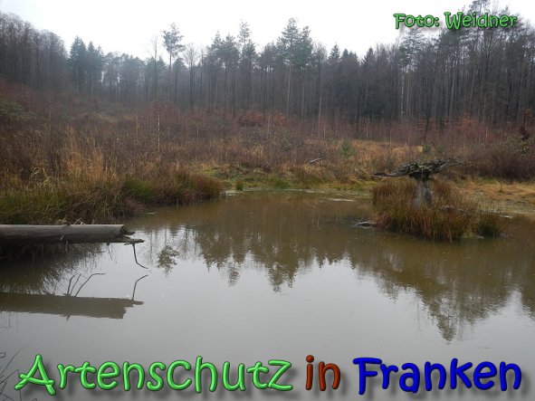 Copyright AiS Klaus Weidner Bild zum Eintrag (63123-160)