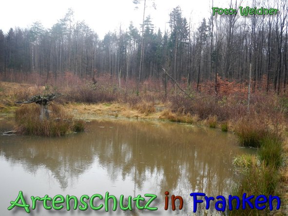 Copyright AiS Klaus Weidner Bild zum Eintrag (63124-160)