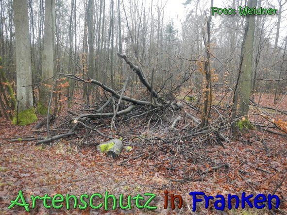 Copyright AiS Klaus Weidner Bild zum Eintrag (63146-160)